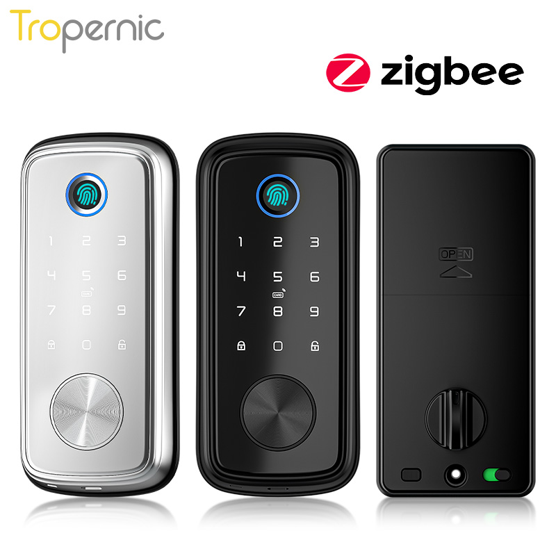 Smart Door Lock Wifi - Tuya Zigbee-cerrojo de seguridad para puerta,
